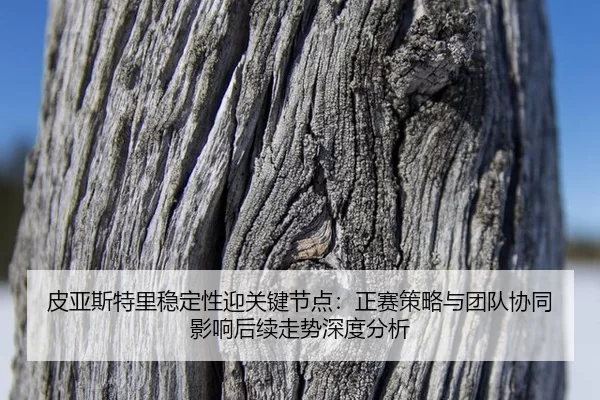 皮亚斯特里稳定性迎关键节点：正赛策略与团队协同影响后续走势深度分析