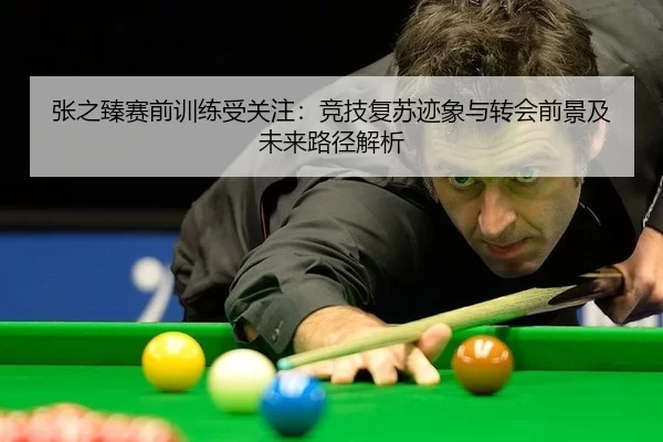张之臻赛前训练受关注：竞技复苏迹象与转会前景及未来路径解析